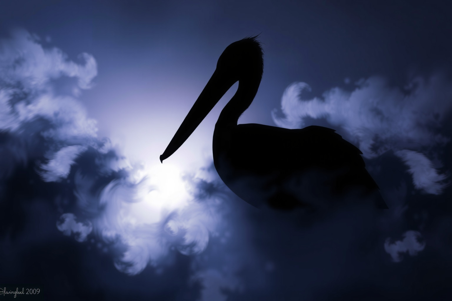 Sognare un pellicano nero simboleggia misteri nascosti e oscurità interiori.