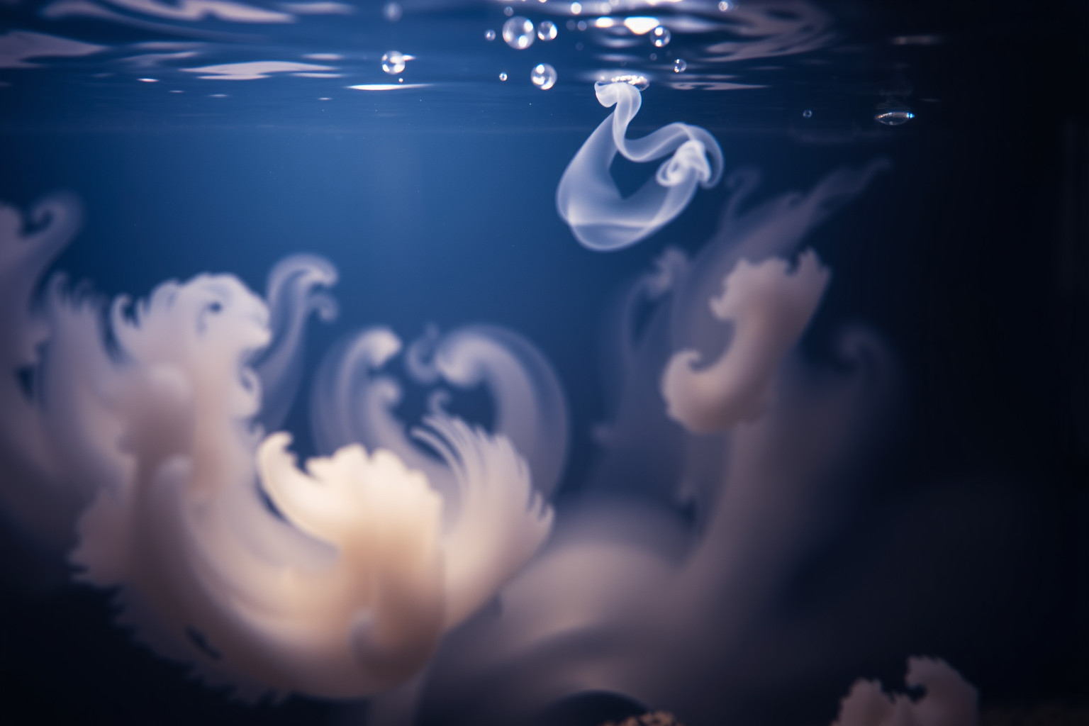Sognare acquario con acqua torbida simboleggia emozioni confuse.