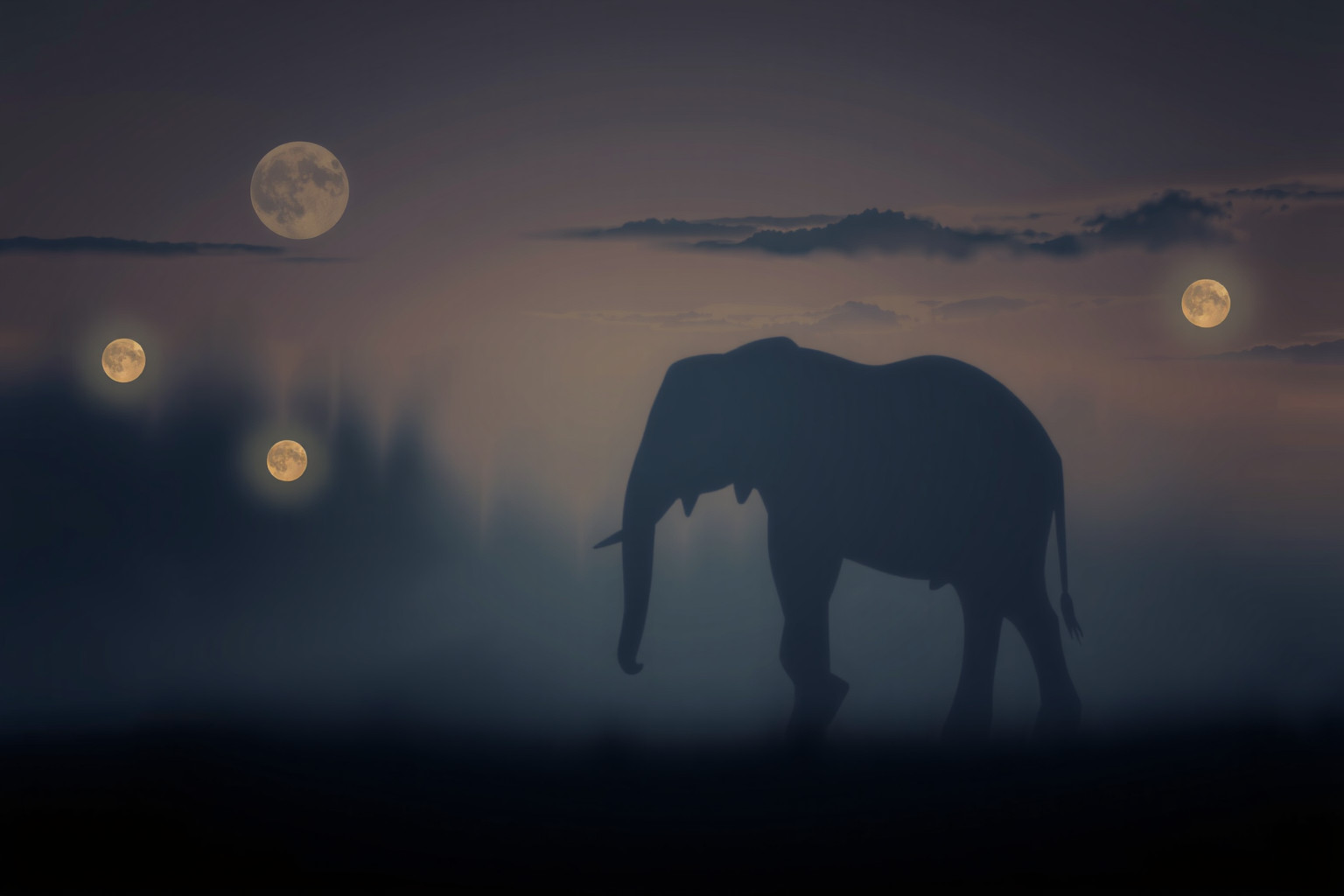 Sognare un elefante morto simboleggia la fine di un grande problema.