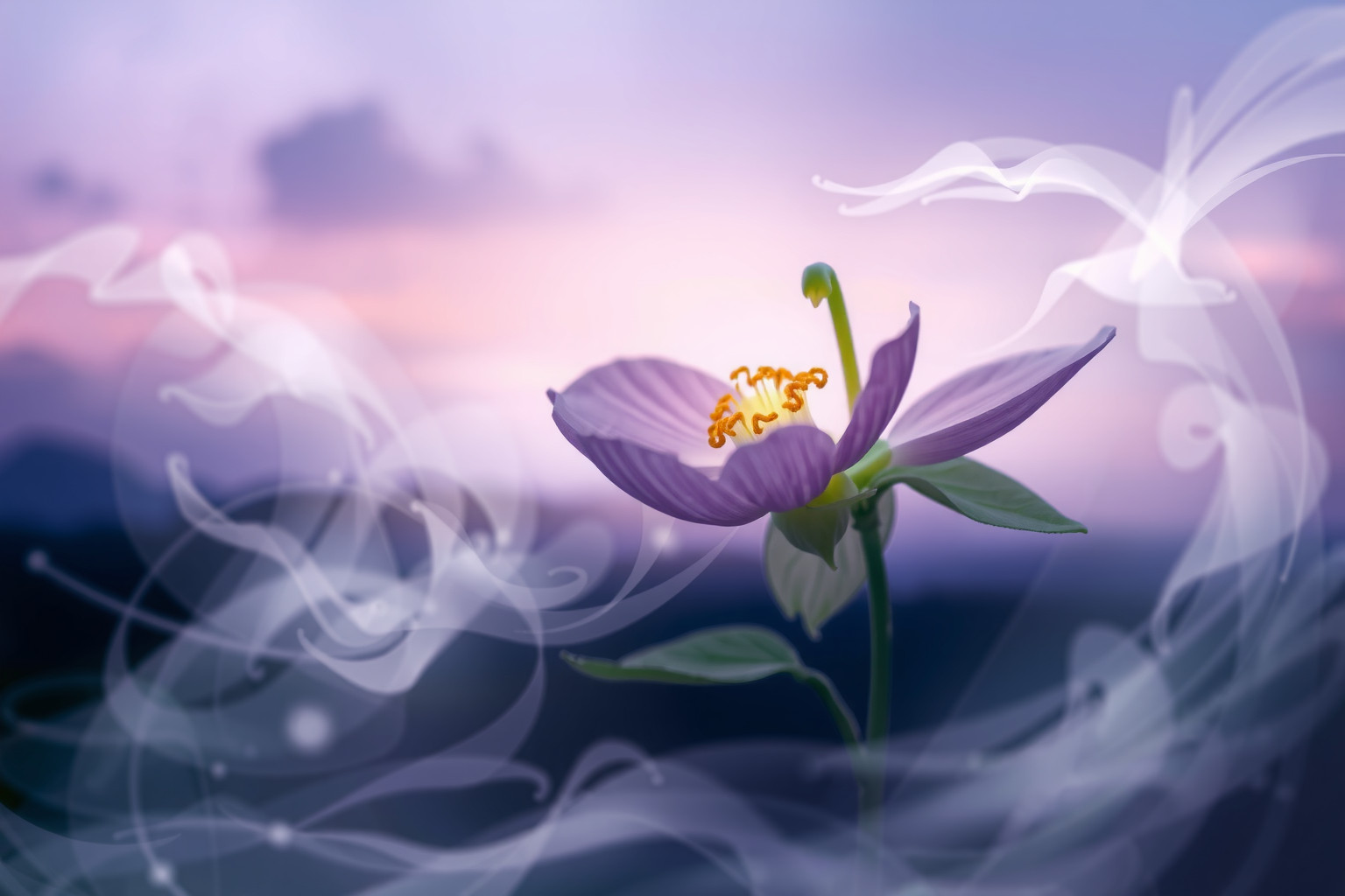 Sognare elleboro in fiore simboleggia rinascita e speranza profonda.