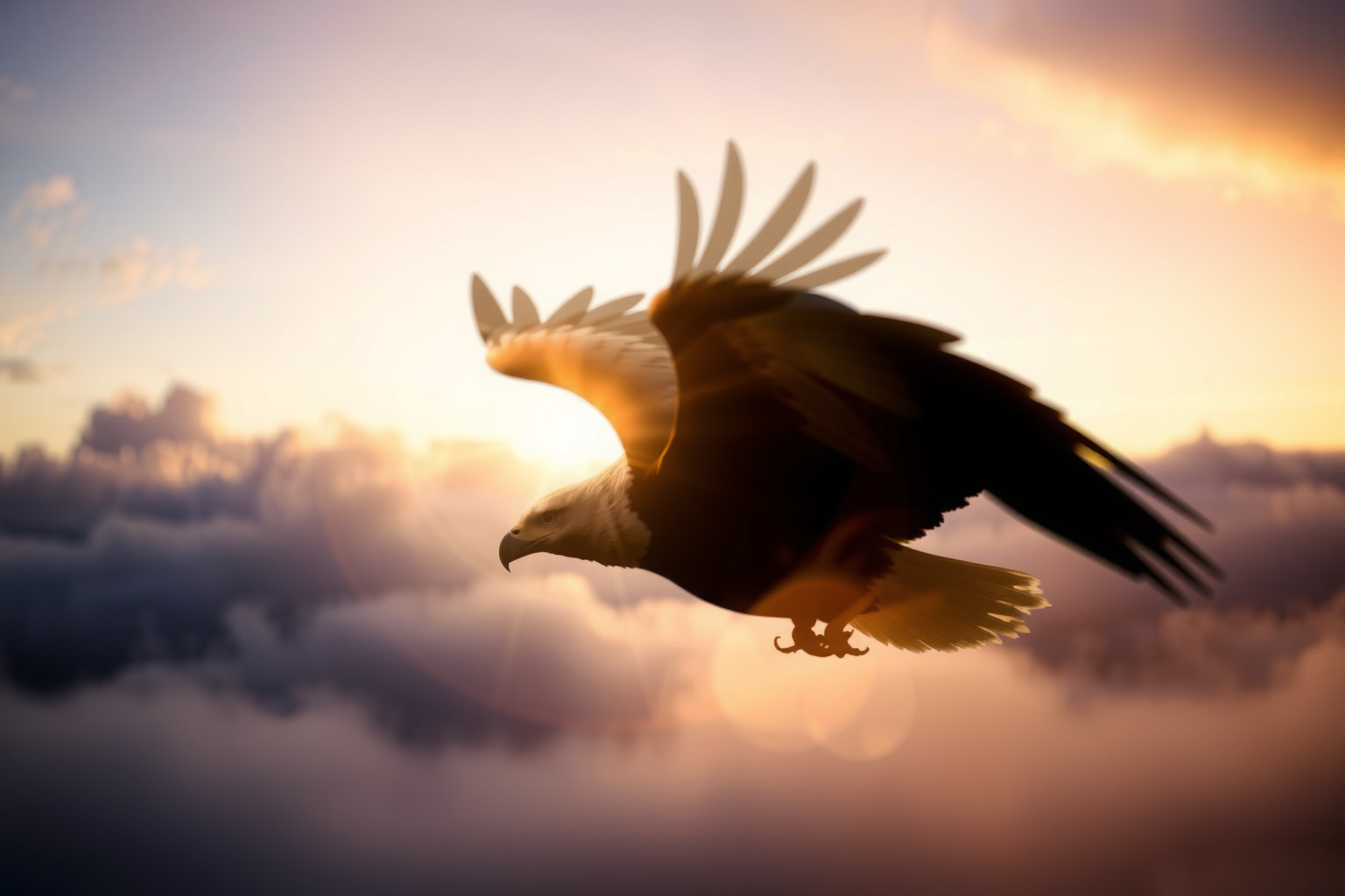 Sognare un'aquila simboleggia potere, libertà e visione acuta.