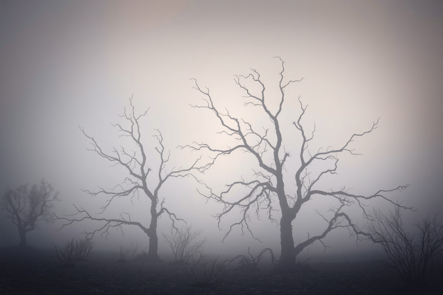 Sognare alberi secchi simboleggia stagnazione e perdita di energia vitale.