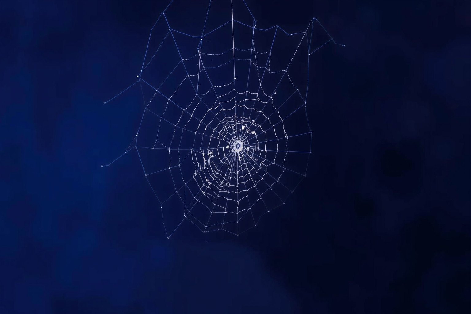 Sognare ragnatele piene di prede simboleggia opportunità nascoste.