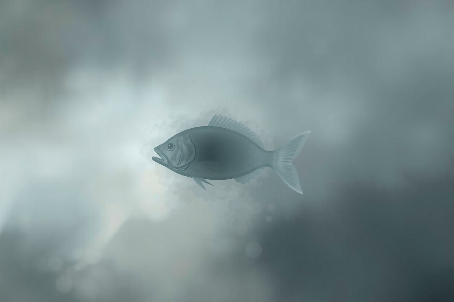 Sognare stoccafisso indica spesso paura di perdita e mancanza.