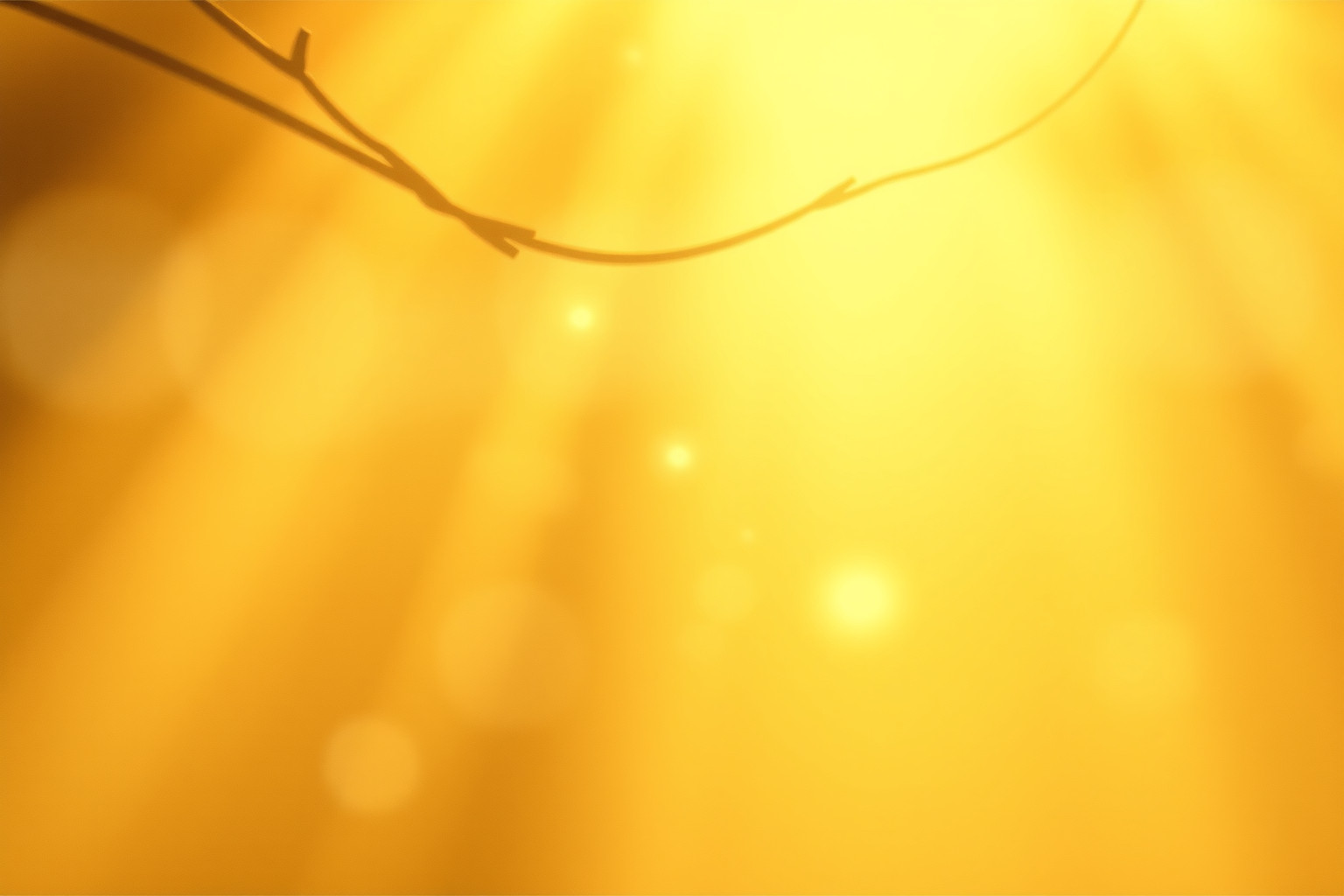 Il legno giallo al sole simboleggia speranza e nuova chiarezza.