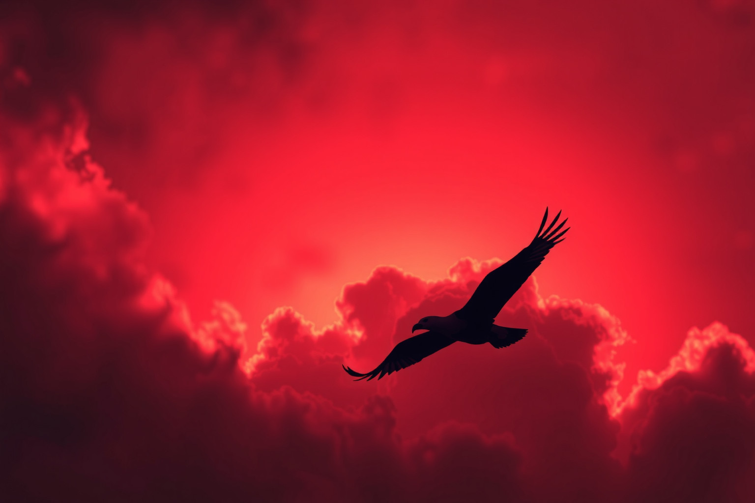 Sognare un albatros in cielo rosso simboleggia passione e sfida.