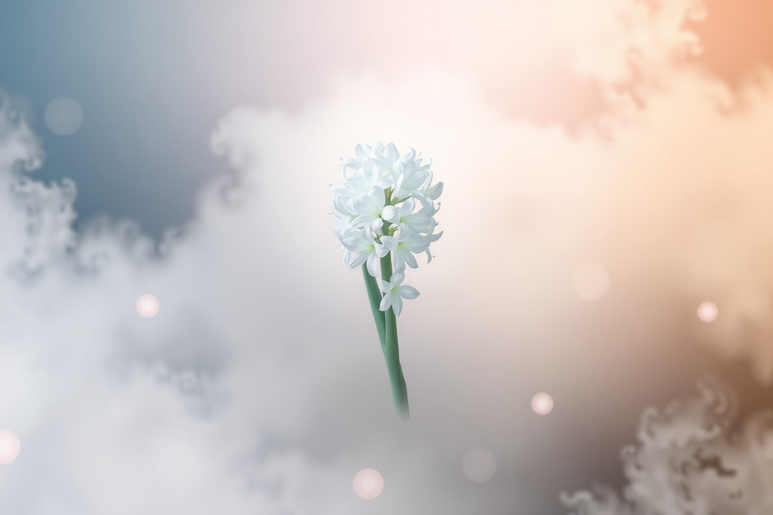 Sognare un giacinto ricorrente simboleggia rinascita e speranza.