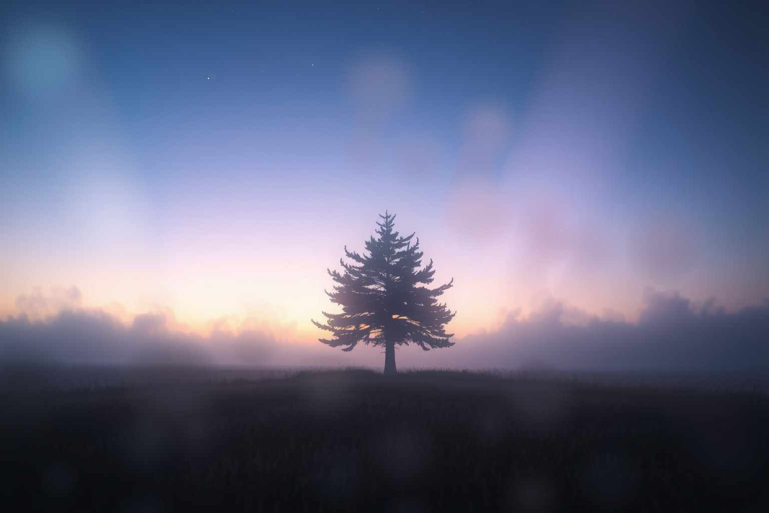 Sognare un pino isolato simboleggia forza e solitudine interiore.