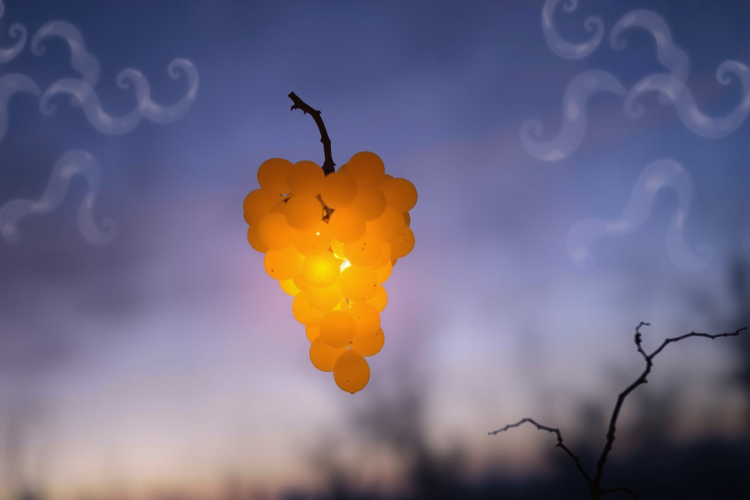 Sognare uva fuori stagione simboleggia desideri irrealizzati e opportunità perdute.
