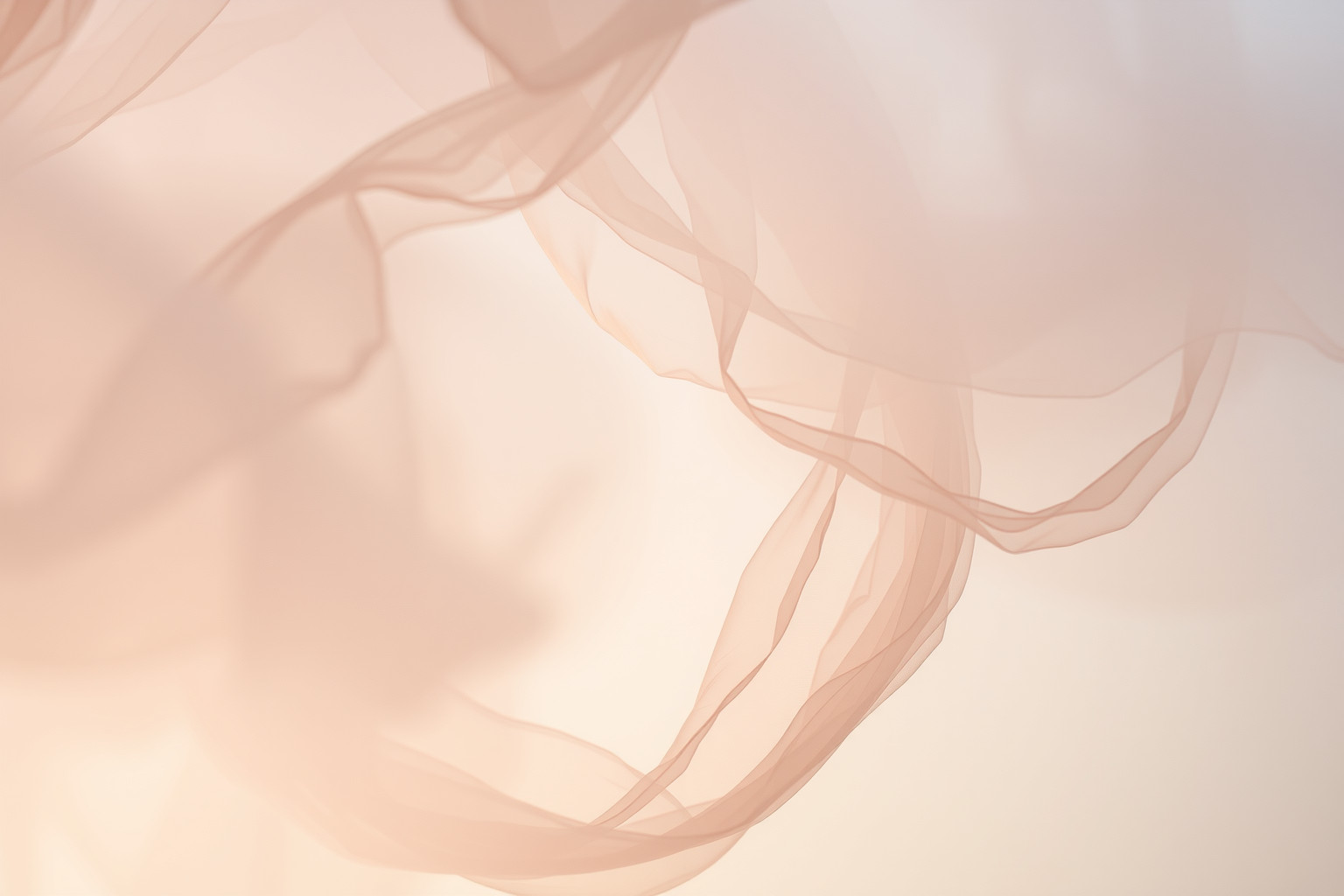 Cinque sogni sulla biancheria riflettono emozioni intime e nascoste.