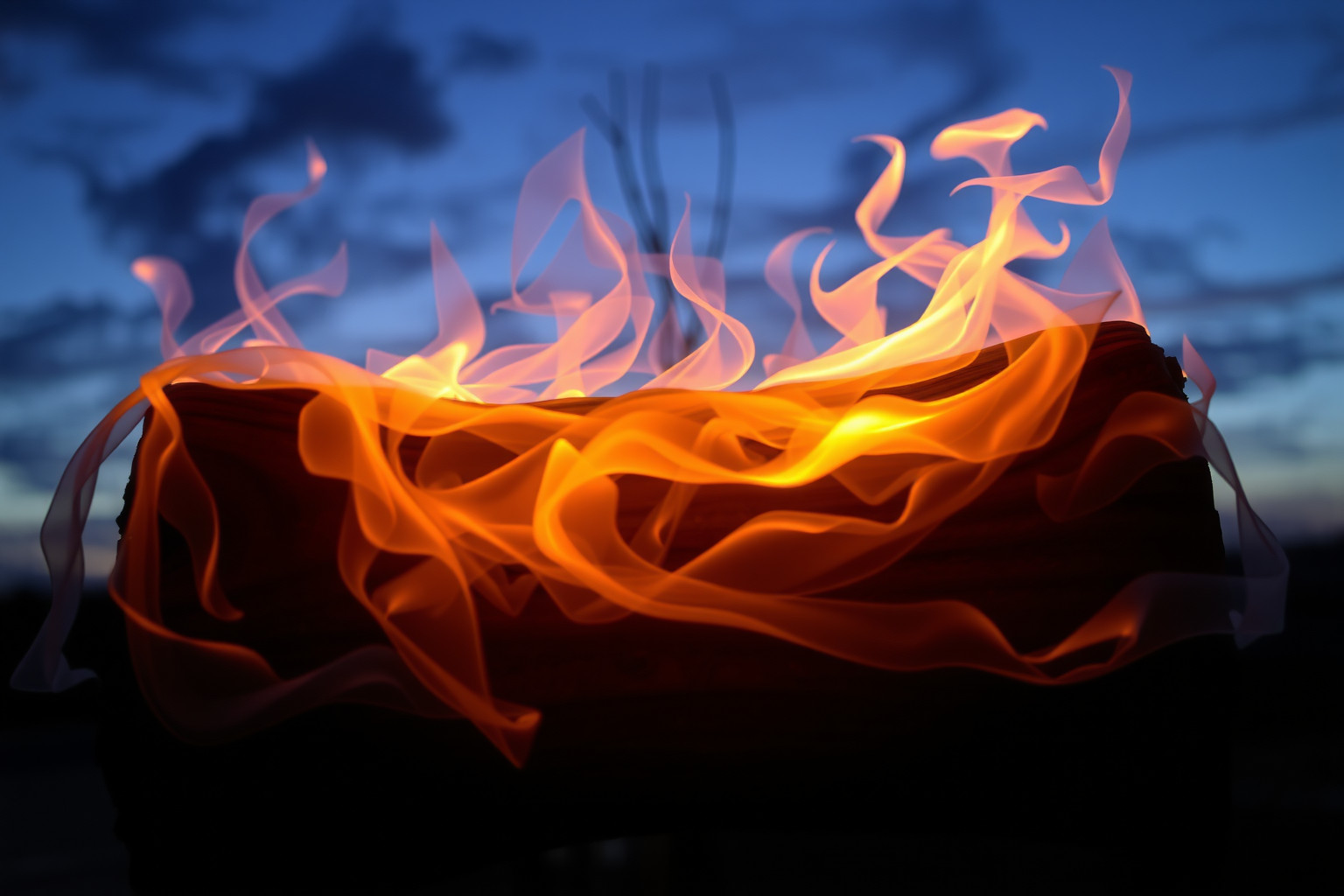 Sognare un ciocco di Natale che incendia indica pericolo imminente.