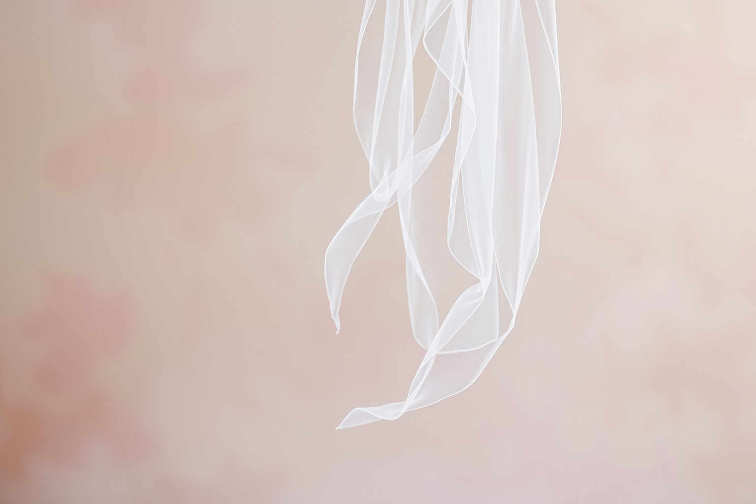 Sognare un velo da sposa annullato indica delusione e cambiamento imprevisto.