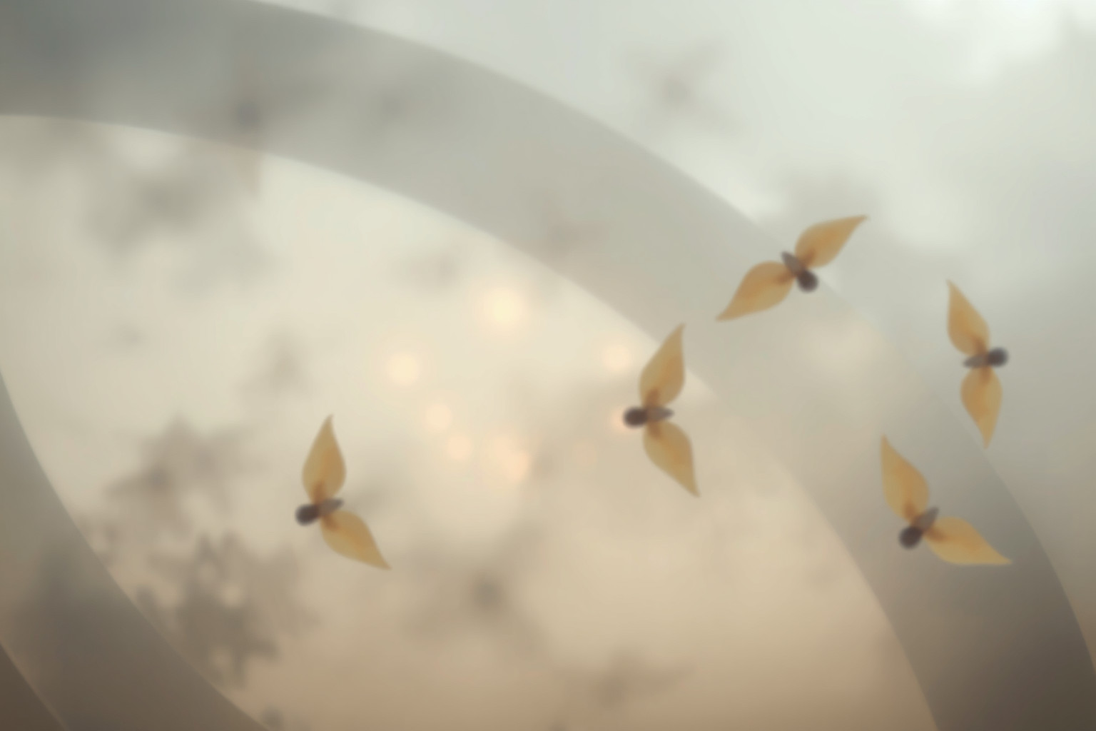 Sognare oggetti persi riflette ansia e insicurezza interiori profonde.