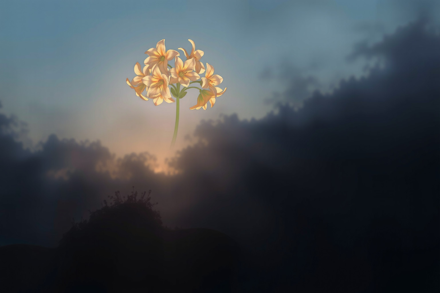 Sognare primule veris a un funerale simboleggia rinascita spirituale.