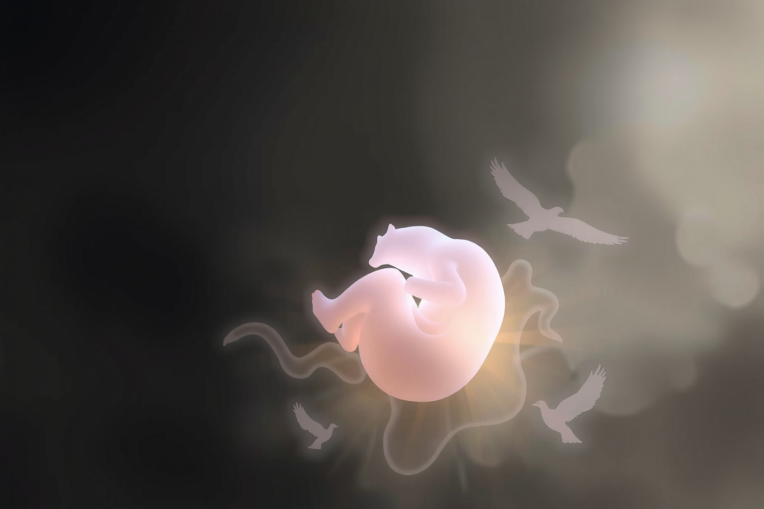 Sognare feti animali rivela impulsi istintivi nascosti e primordiali.