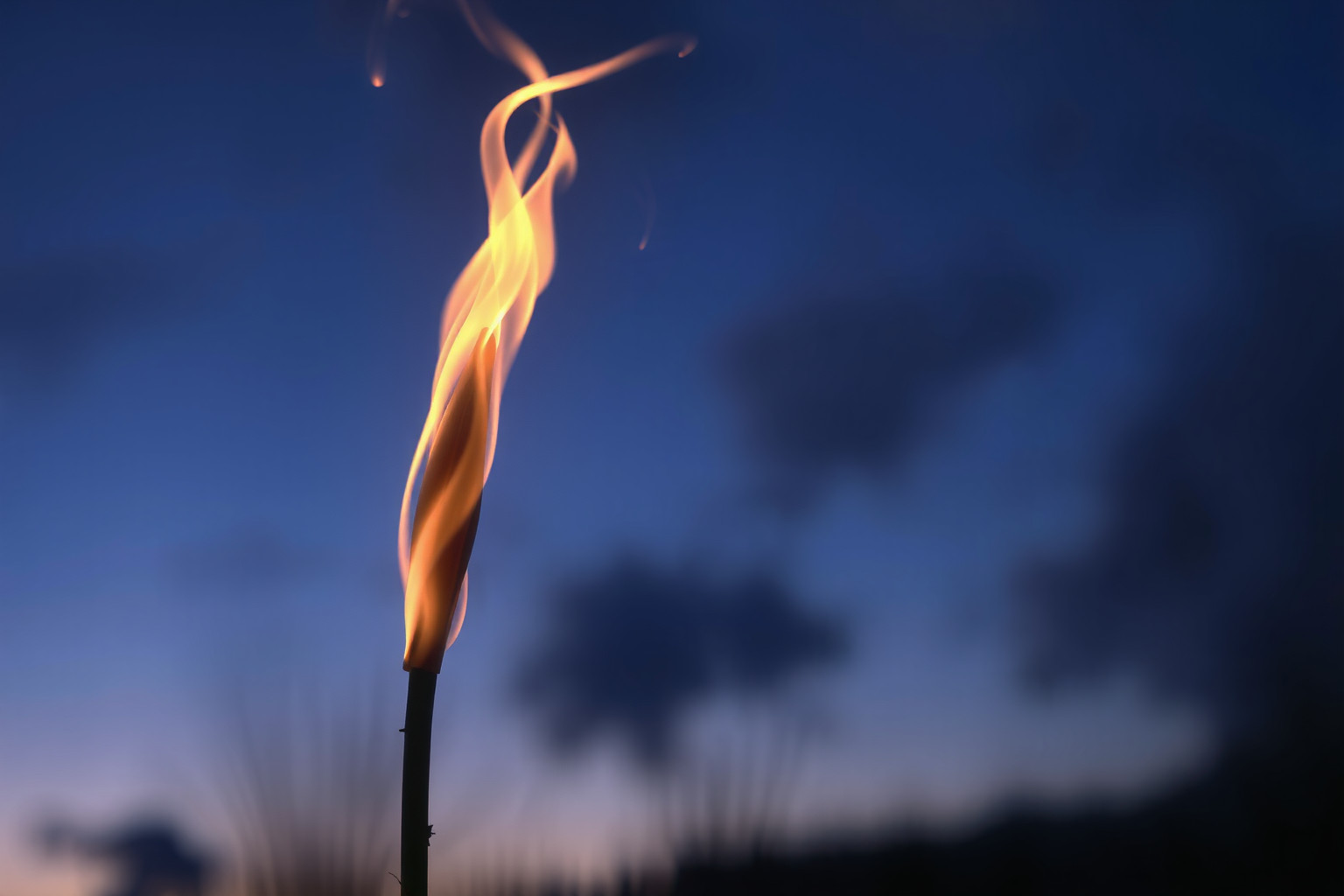 Sognare un gambo che brucia simboleggia passioni distruttive nascoste.