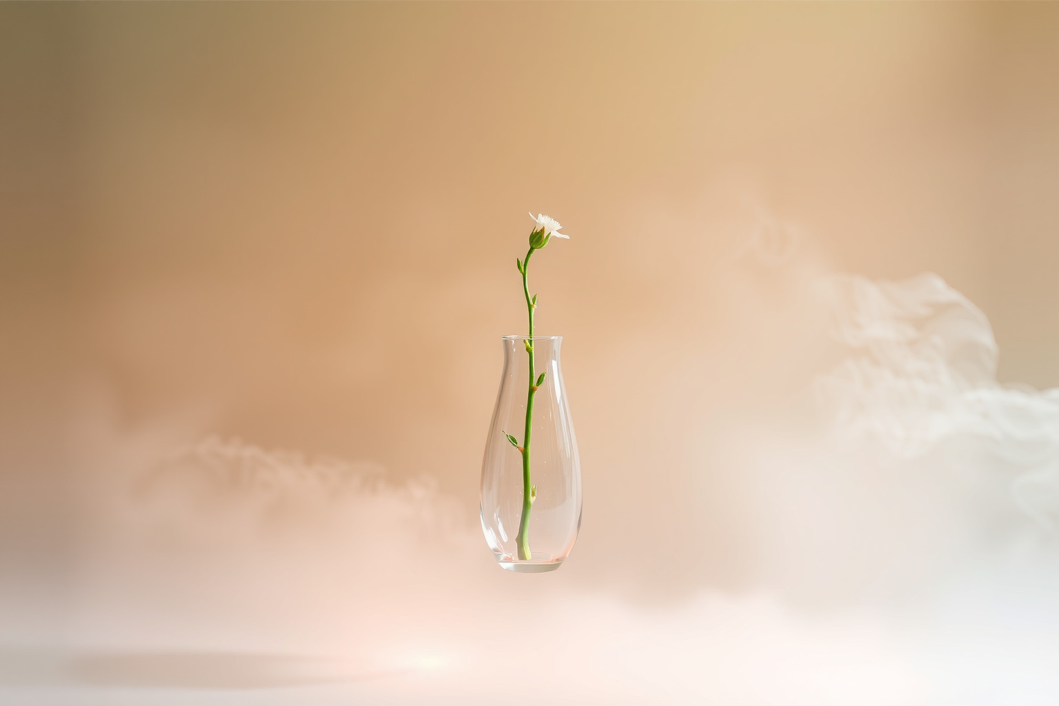 Sognare un gambo in vaso simboleggia crescita interiore e stabilità.