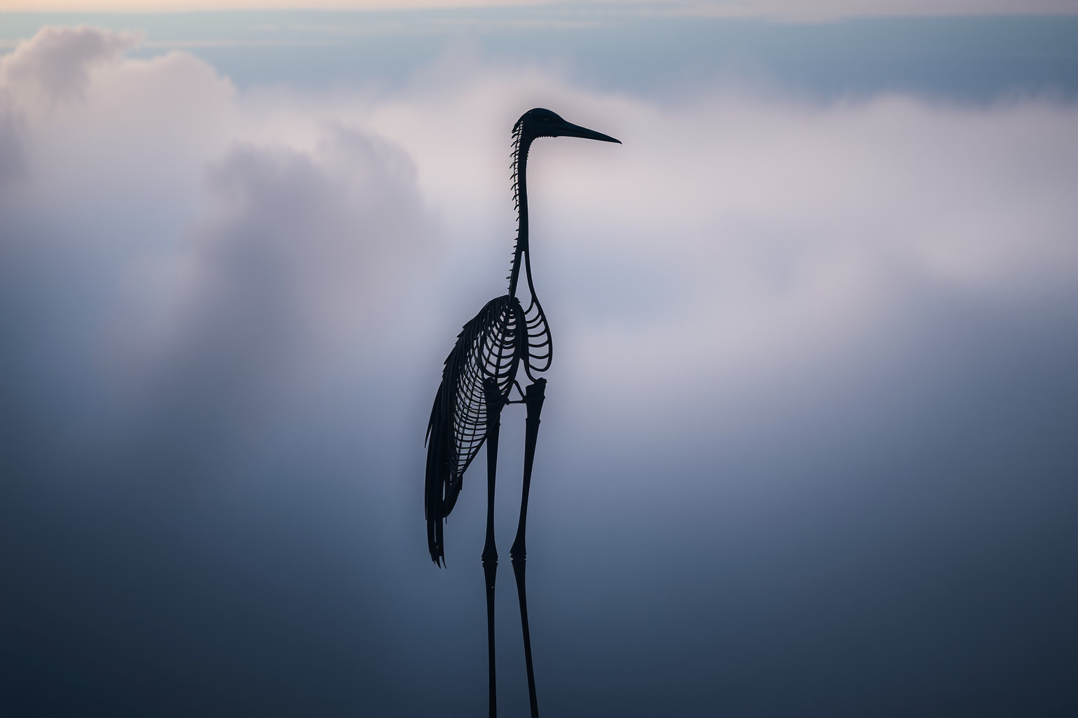 Sognare gru a torre vuota simboleggia solitudine e abbandono interiore.