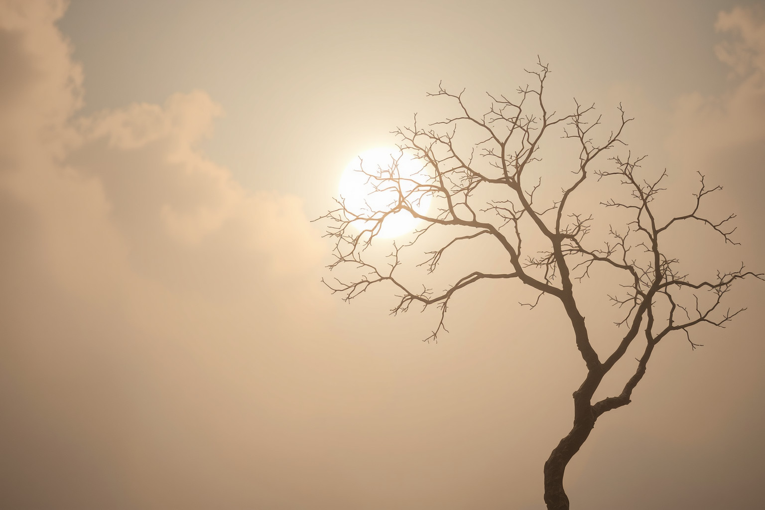 Sognare rachitismo riflette fragilità e bisogno di energia vitale.