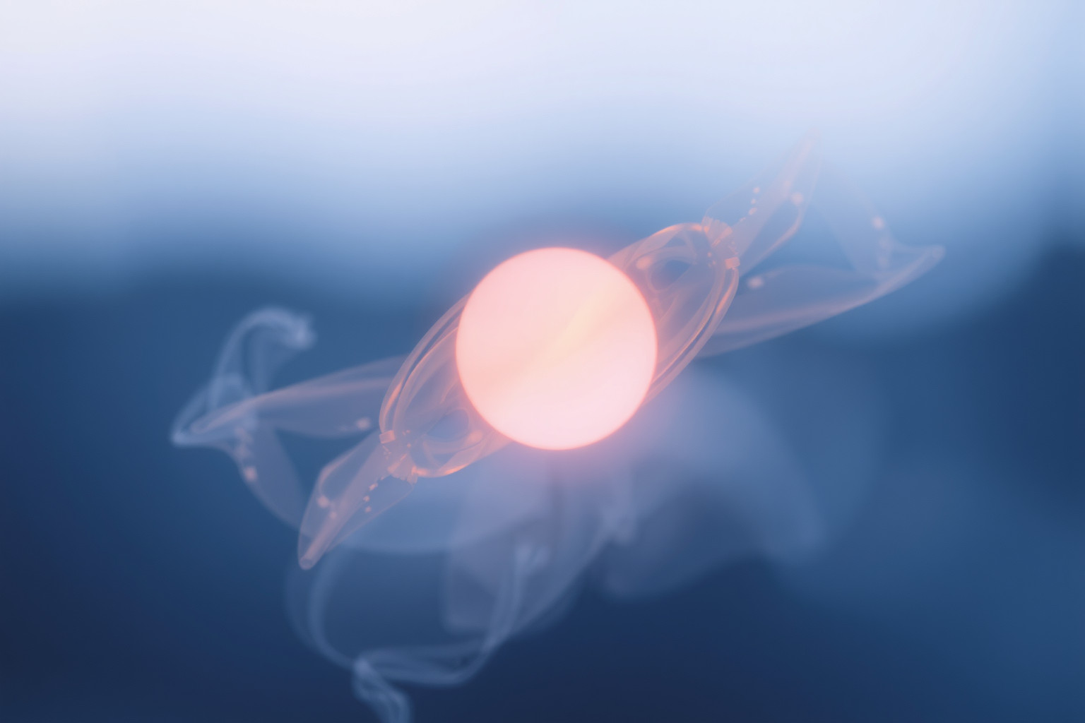 Il bagliore che scompare simboleggia speranze e cambiamenti fugaci.