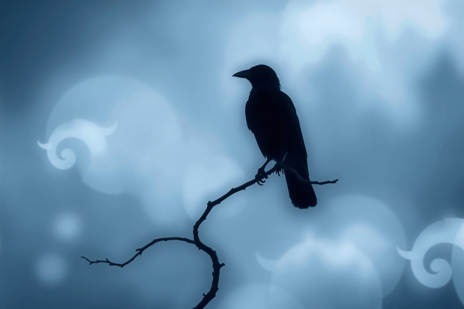 La cornacchia solitaria simboleggia intelligenza e paziente osservazione interiore.