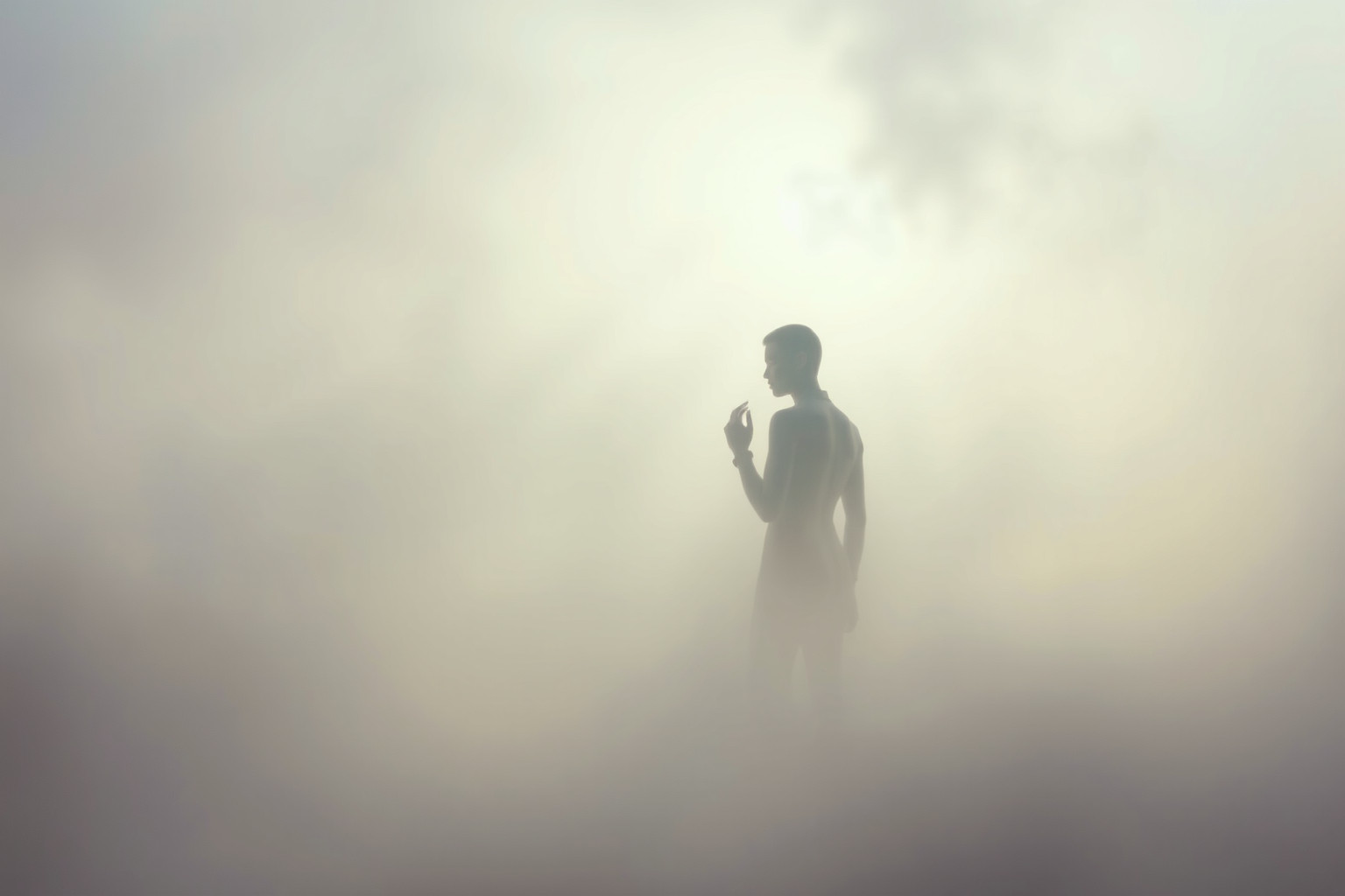 Sognare figure nella nebbia simboleggia incertezze e rivelazioni nascoste.