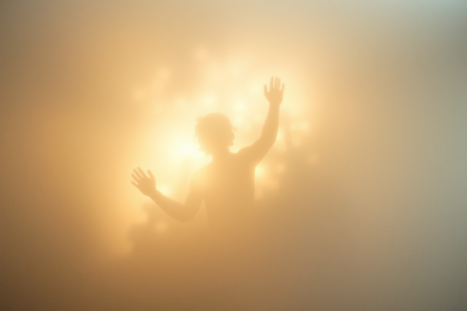 L'almerín che scompare simboleggia la paura dell'ignoto imminente.