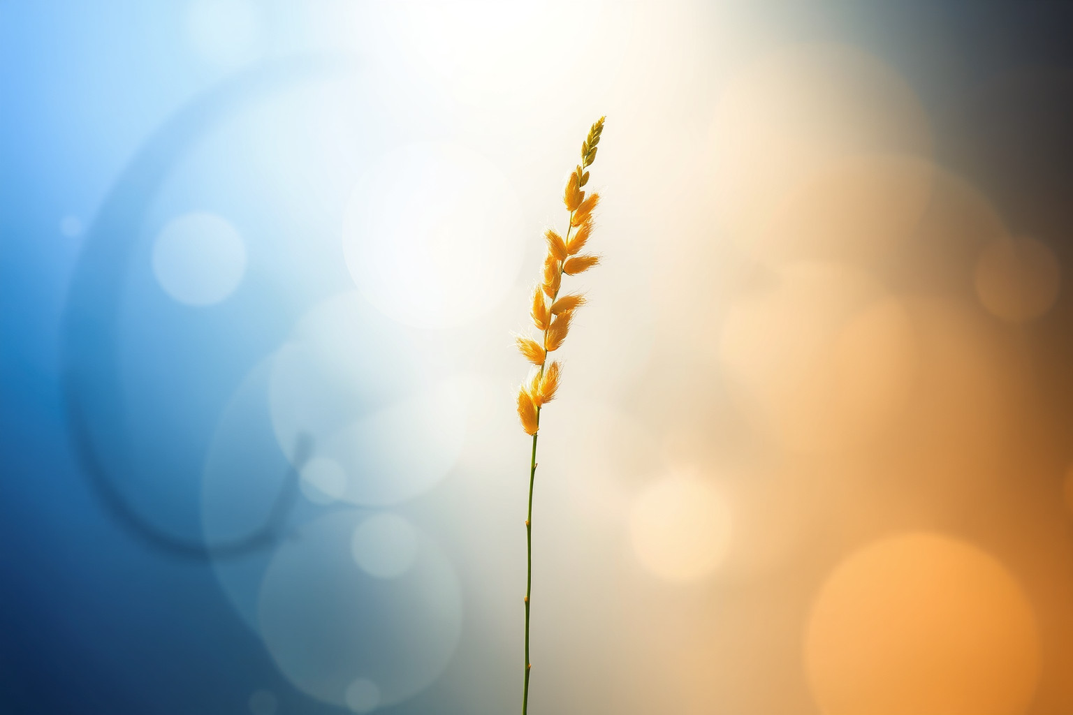 L'equiseto che cambia colore simboleggia trasformazione emotiva profonda.