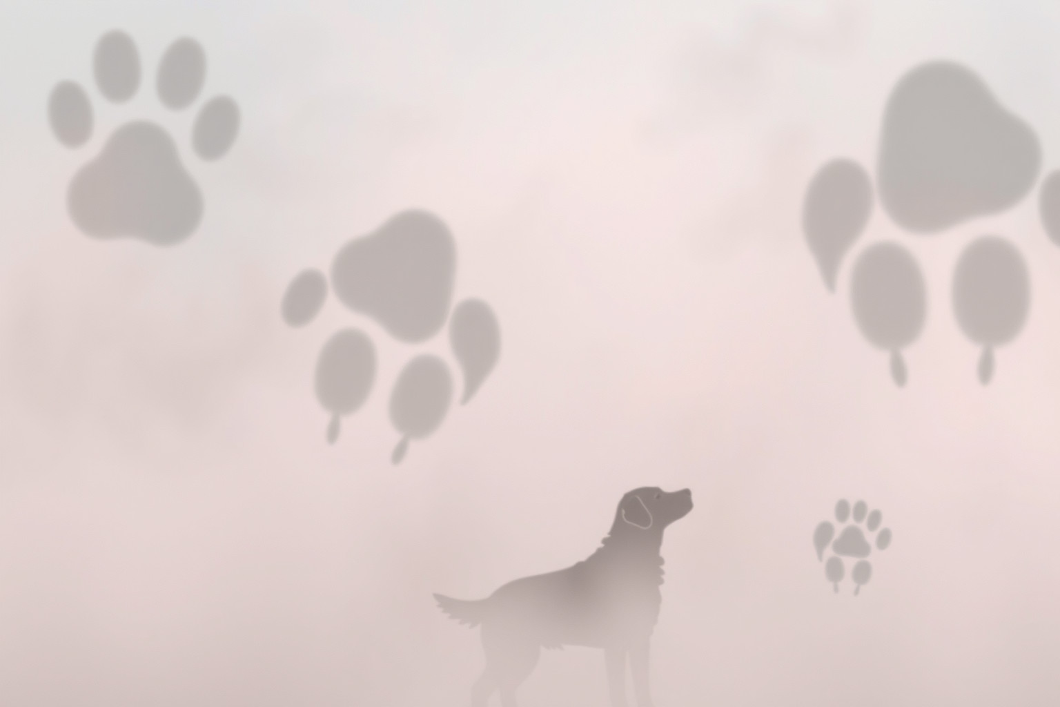 Perdere un carlino simboleggia smarrimento e dolore emotivo profondo.