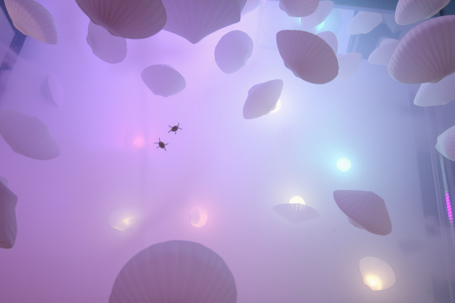 Sognare conchiglie in acquario simboleggia emozioni nascoste e protezione.