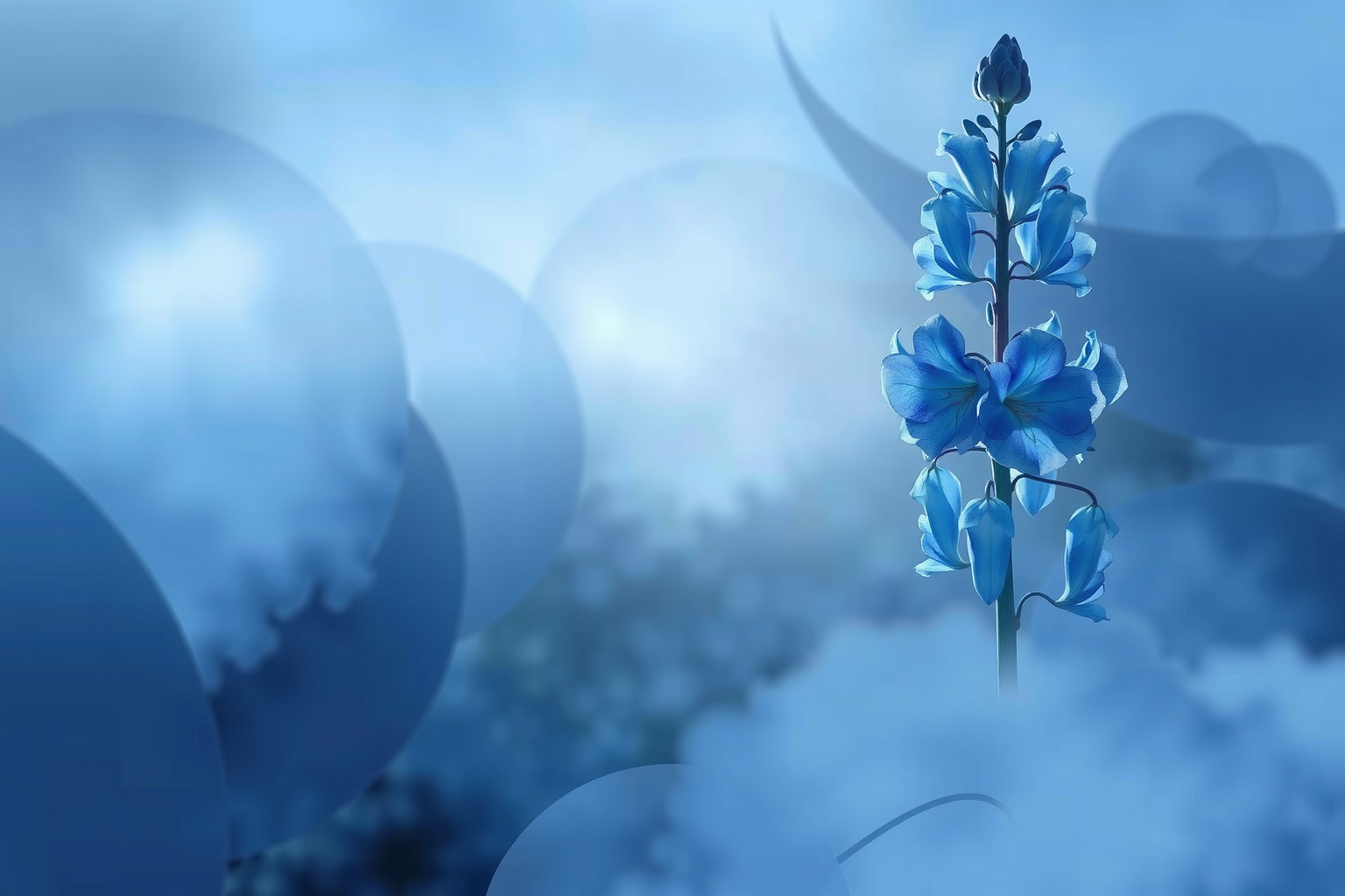 Sognare delphinium blu simboleggia pace e protezione spirituale intensa.