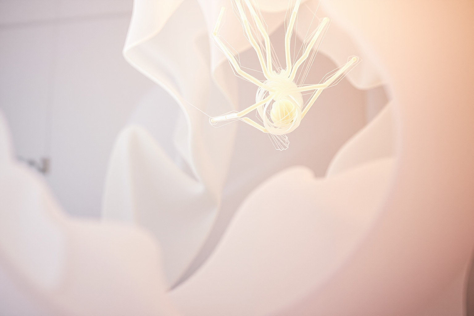 Sognare di liberare un ragno simboleggia superare paure nascoste.