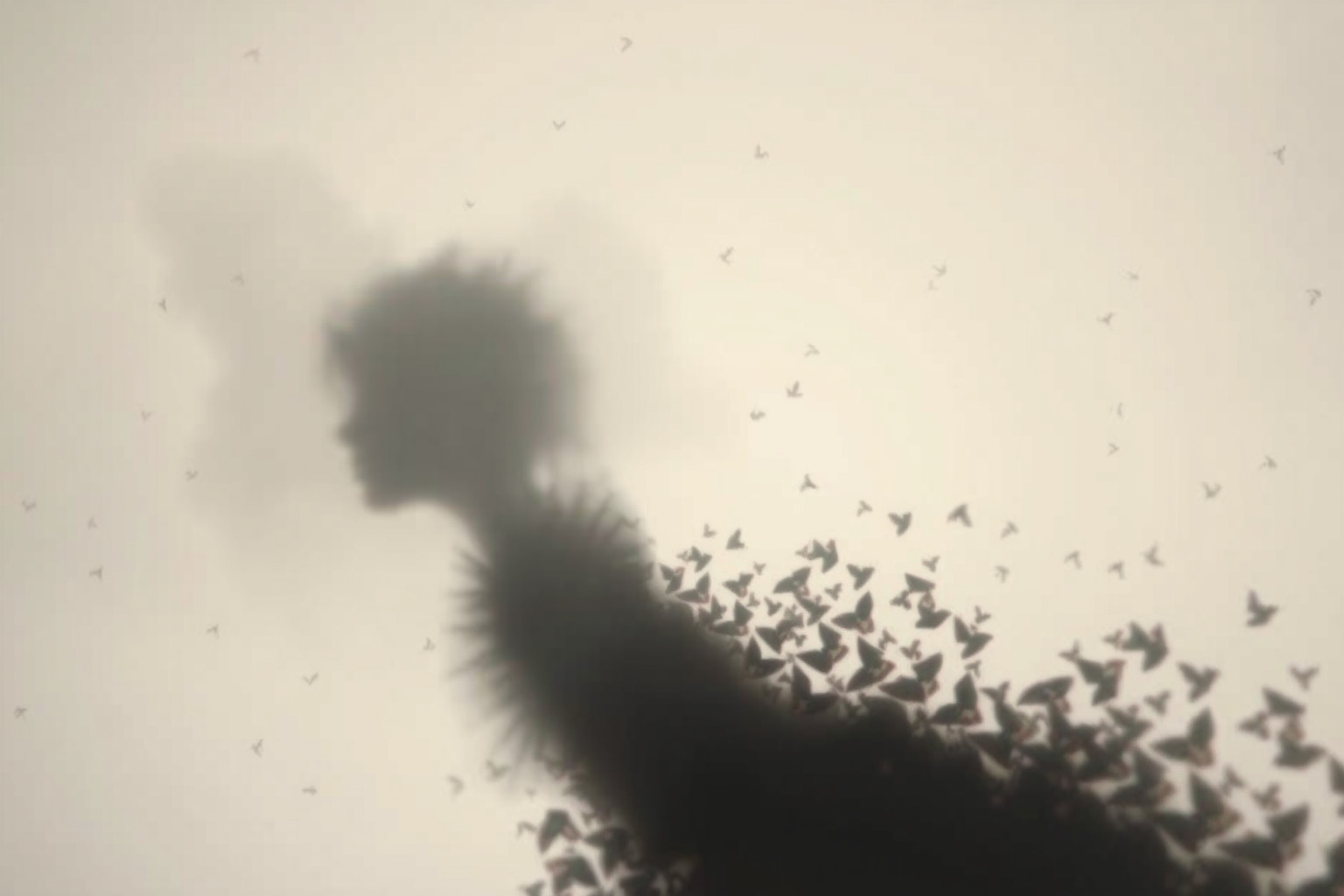 Sognare pulci che ti perseguitano indica preoccupazioni quotidiane nascoste.