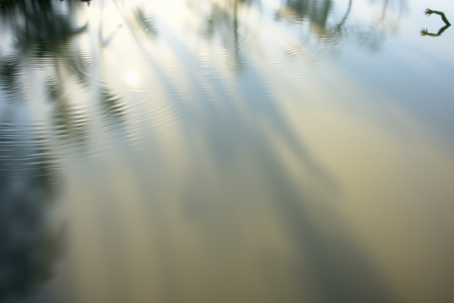 Sognare uno stagno di giorno riflette chiarezza emotiva e consapevolezza.