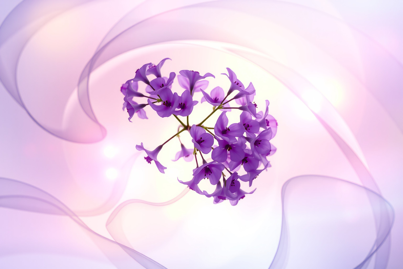 Sognare viole del pensiero che cambiano colore simboleggia trasformazione emotiva.