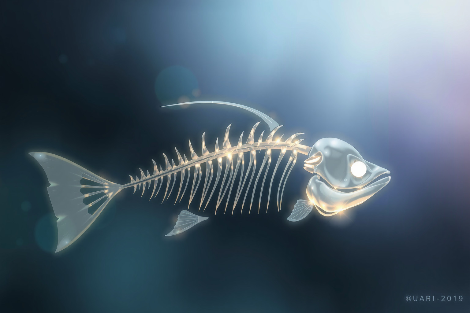 La spina di pesce parla svelando intuizioni e messaggi nascosti.