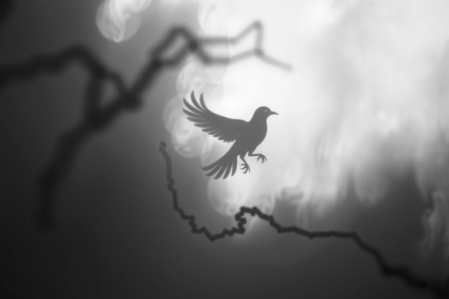 Il merlo in bianco e nero simboleggia indecisione e confusione.