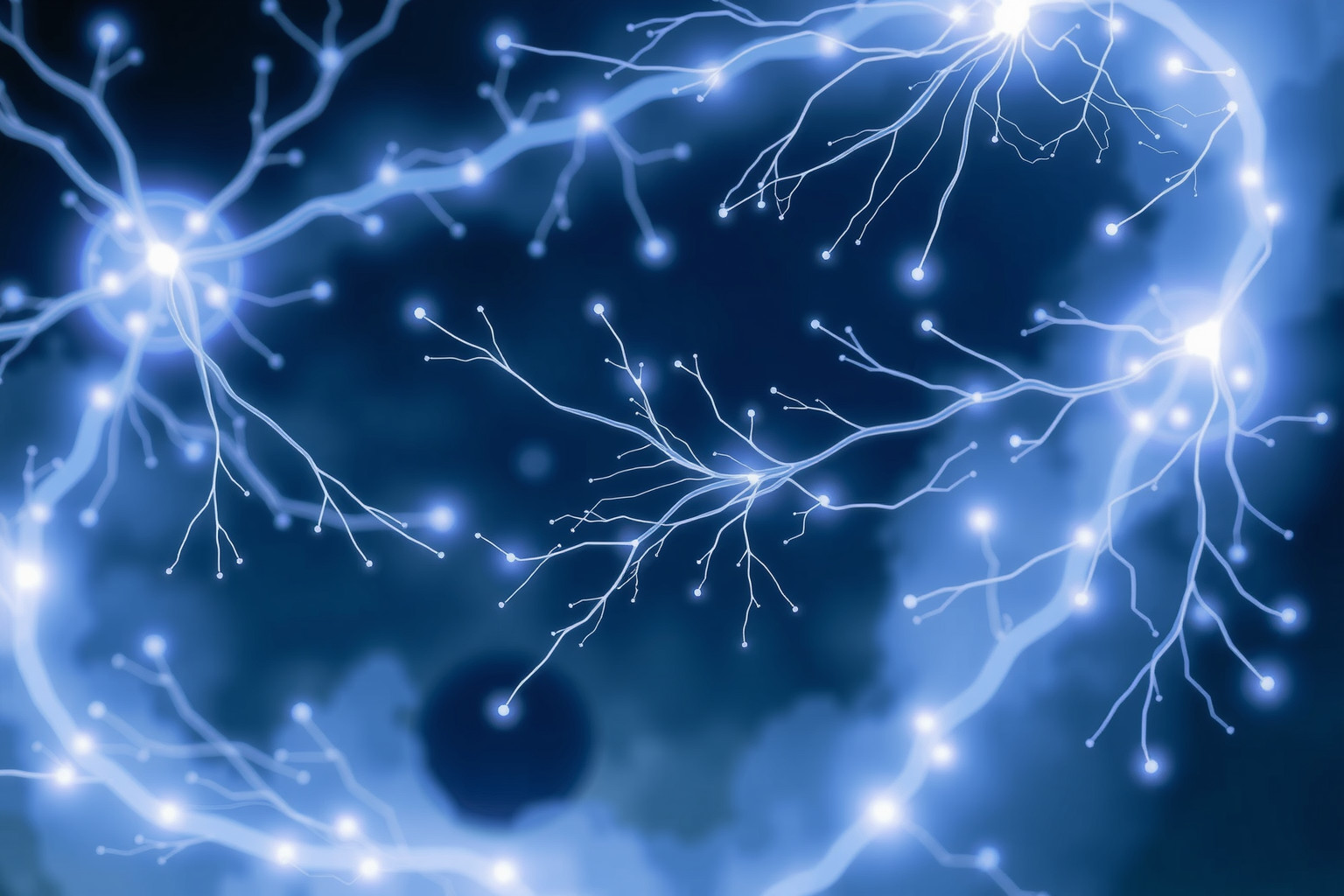 I nervi simboleggiano il filo invisibile della comunicazione umana.