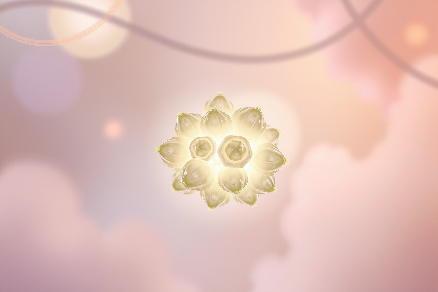 Sognare cavoletti crudi simboleggia nuove opportunità ancora inesplorate.