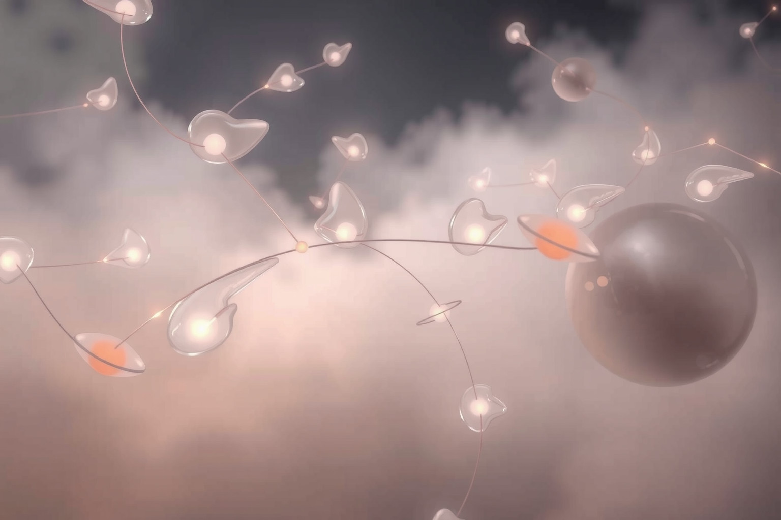 Sognare baccelli riflette abilità nella gestione e organizzazione quotidiana.