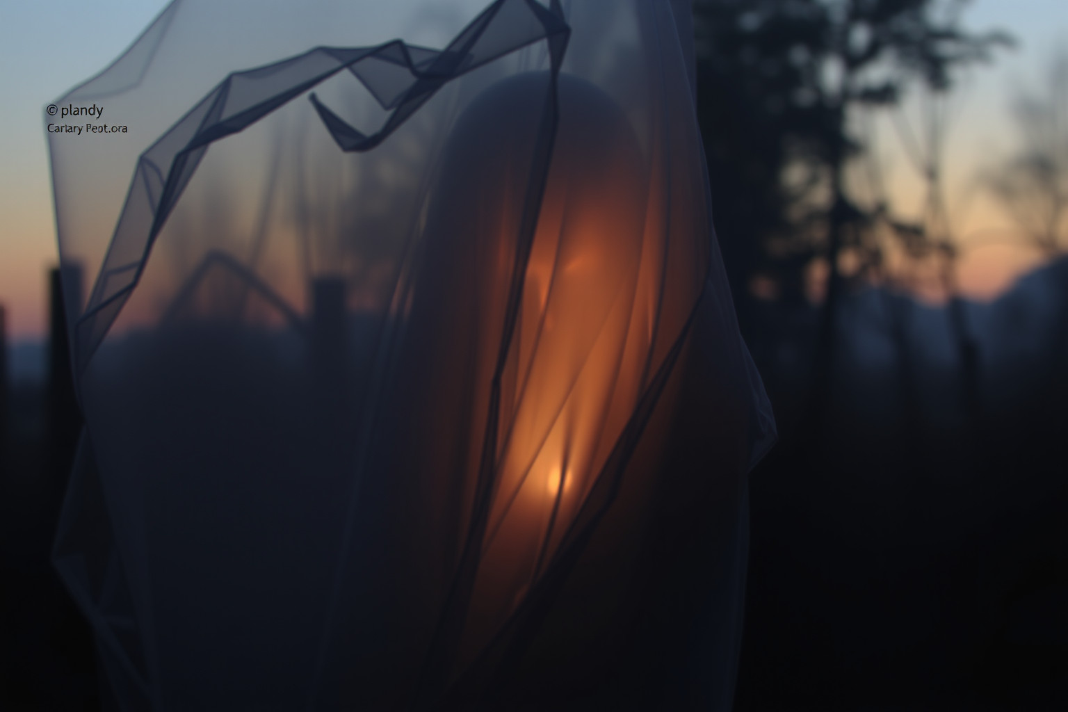 Sognare di nascondersi rivela timori profondi e segreti nascosti.