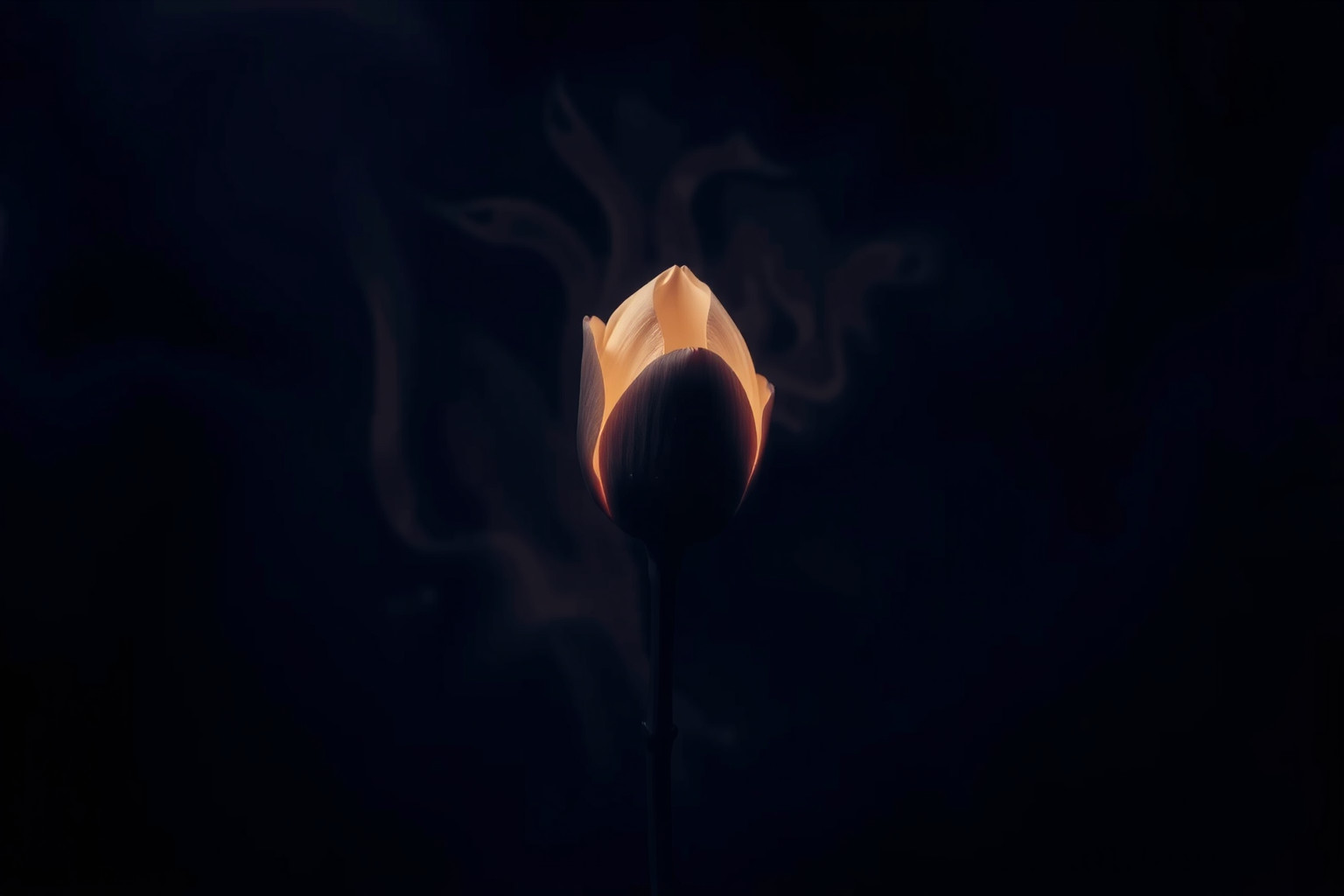 Sognare un bocciolo nero rivela paure e segreti interiori profondi.