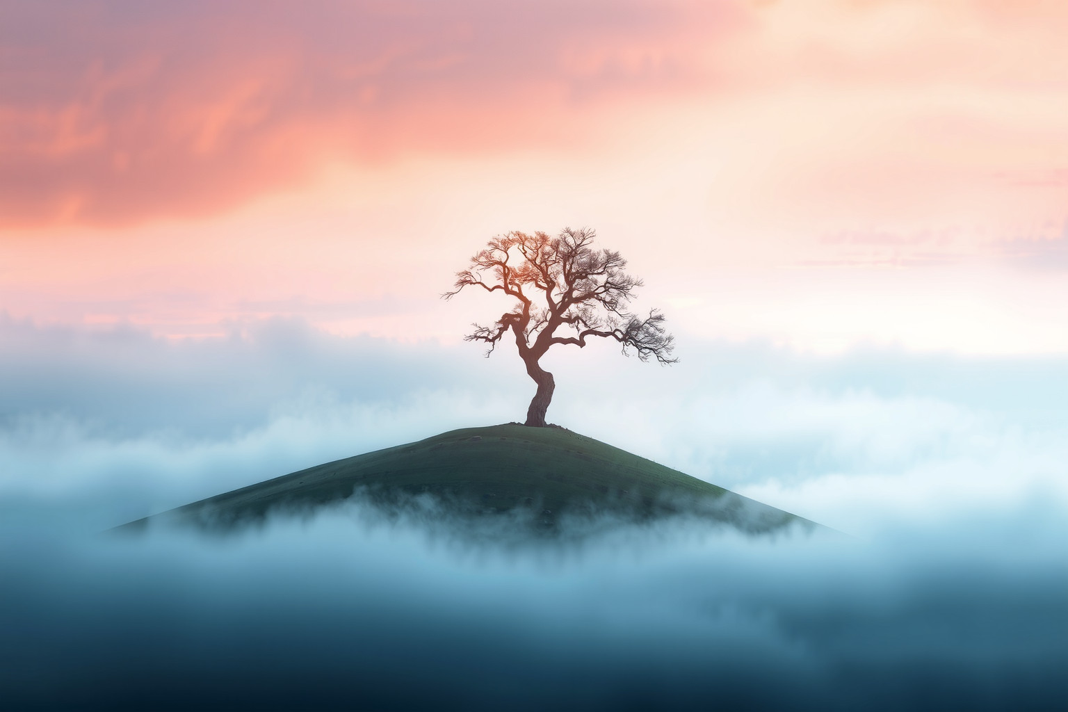 Sognare un albero solitario simboleggia forza interiore e resilienza.