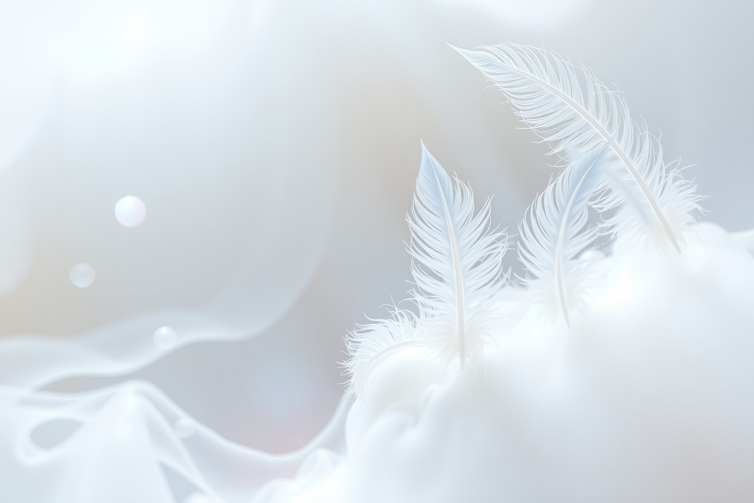 La comparsa di piume simboleggia trasformazione spirituale e libertà interiore.