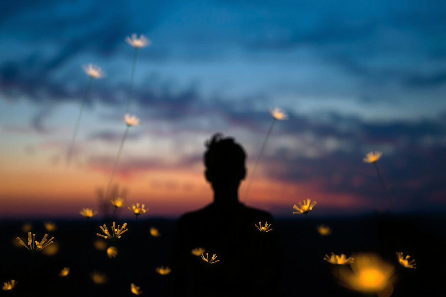 Sognare fuochi bengalesi simboleggia gioia e rinnovamento interiore.