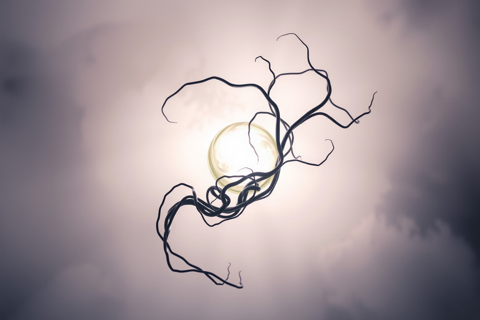 Sognare una maledizione su un oggetto indica paura e insicurezza.