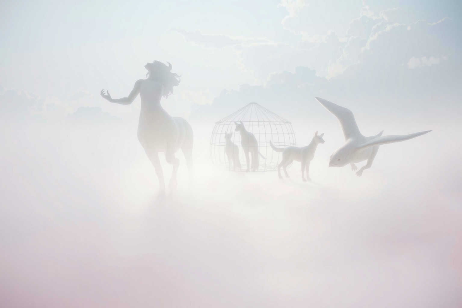 Sognare una menagerie da lontano simboleggia desiderio di avventura.