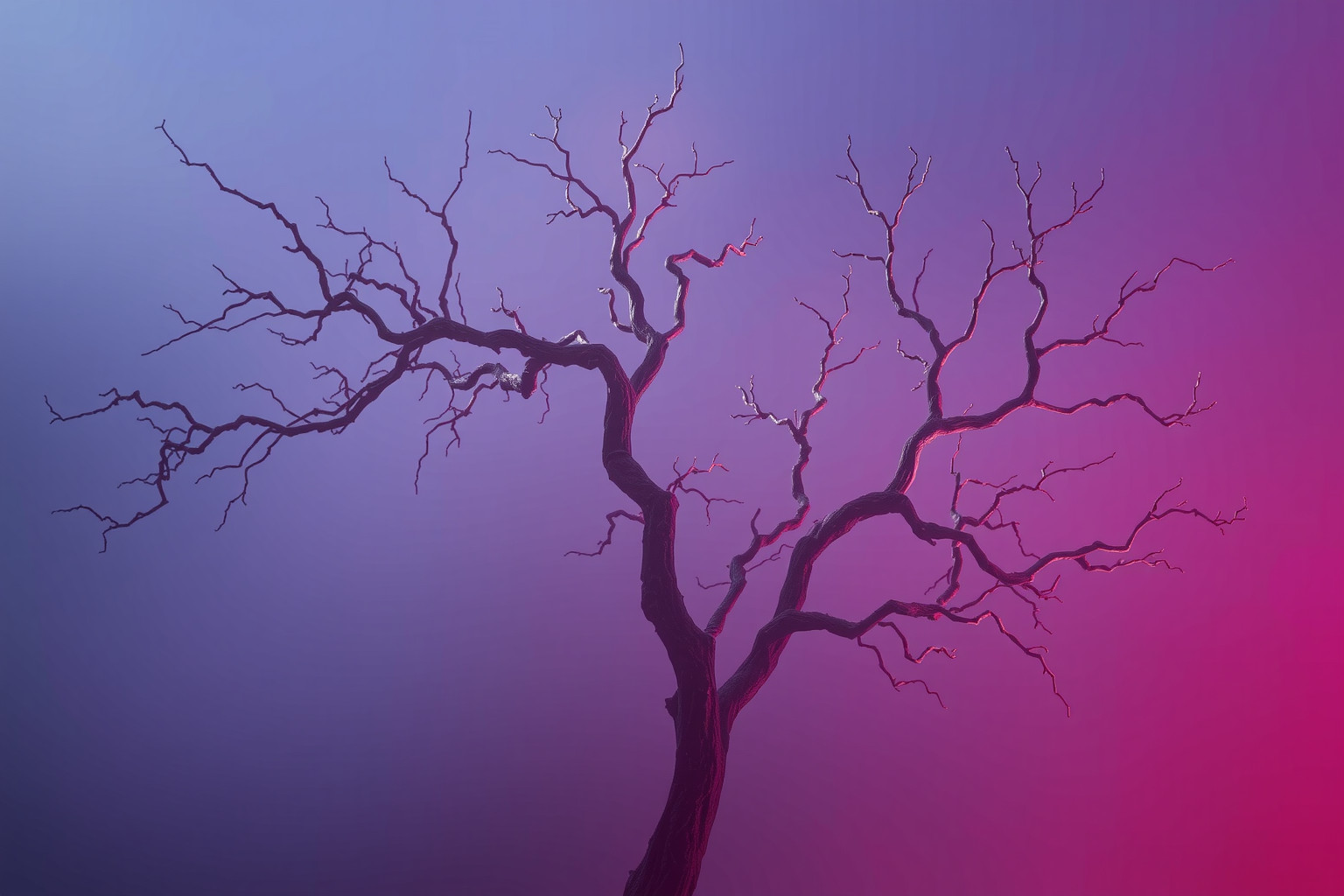 Sognare un lillà secco indica fine di una fase emotiva.