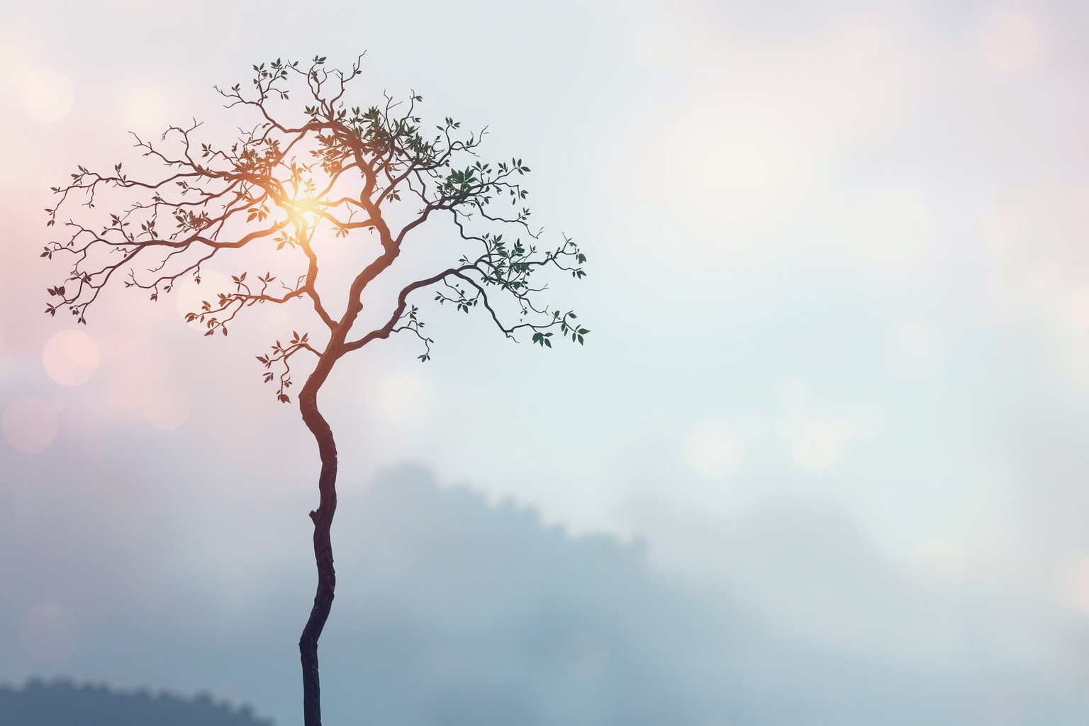 Sognare bastone trasformarsi in albero simboleggia crescita e stabilità interiore.