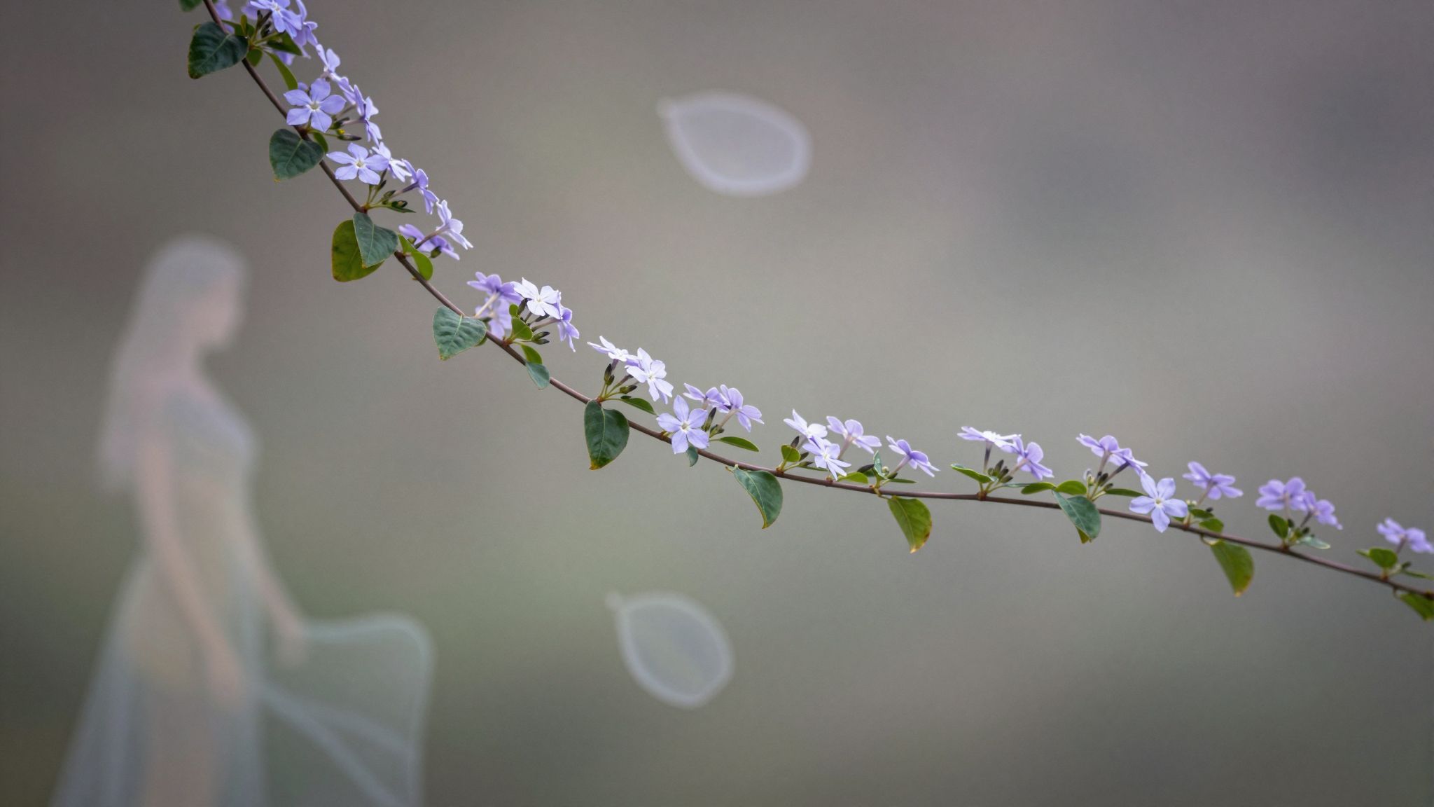 La Vinca minor simboleggia protezione e rinascita nella vita quotidiana.